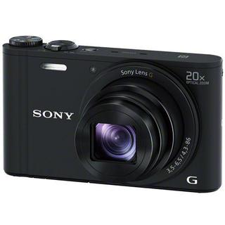 sonywx350.jpg