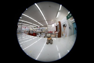 EF 8-15/4 L ﾌｨｯｼｭｱｲ USM