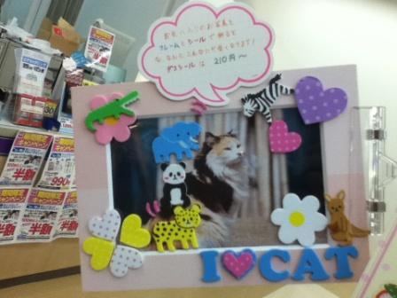 今泉ブログ 004.jpg