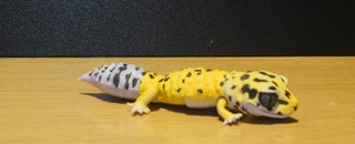 nikon 50 作例５.jpg