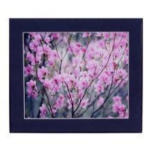 ハンザ 差替えマットパネル A4 クロ