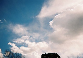 写ルンです　撮影サンプル