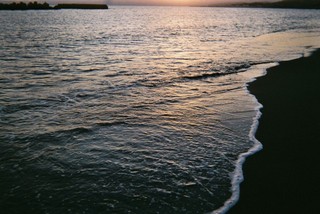 写ルンです (37).JPG