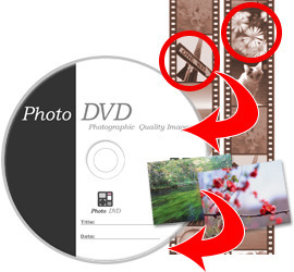 プロフォトDVD3.jpg