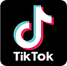 pngimg.com - tiktok_PNG3.png