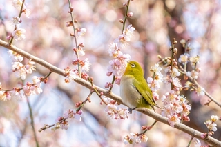 IMG_20240205_141035 (1).jpg