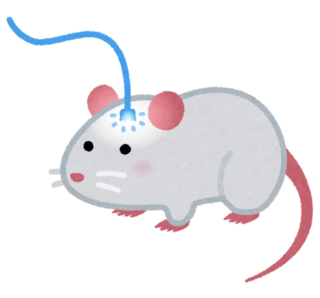 sicence_mouse_optical_fiber.png