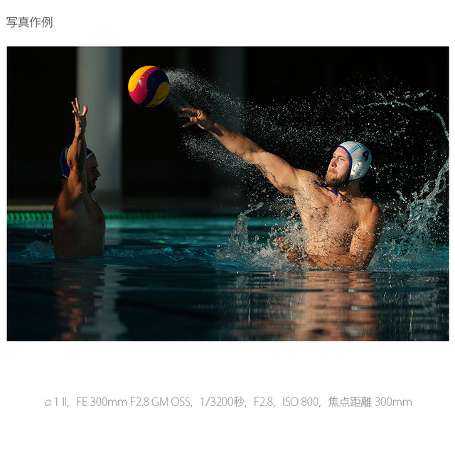 ソニー α1 II ボディ [ILCE-1M2] 写真作例1