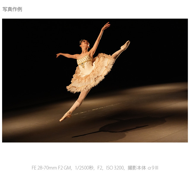 ソニー FE 28-70mm F2 GM [SEL2870GM] 写真作例1