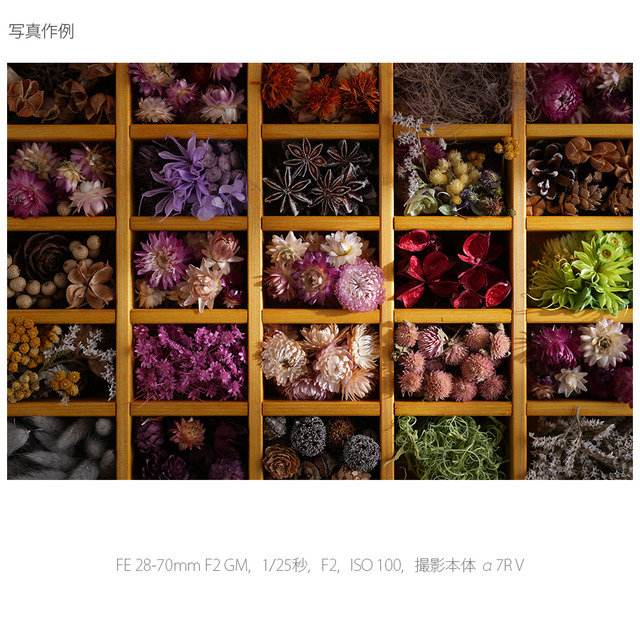 ソニー FE 28-70mm F2 GM [SEL2870GM] 写真作例2