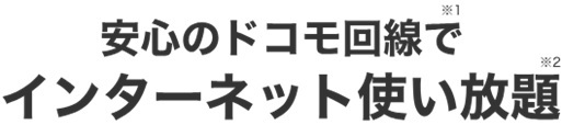 安心のドコモ回線でインターネット使い放題