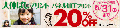 大伸ばしプリント、パネル加工プリント20%OFF