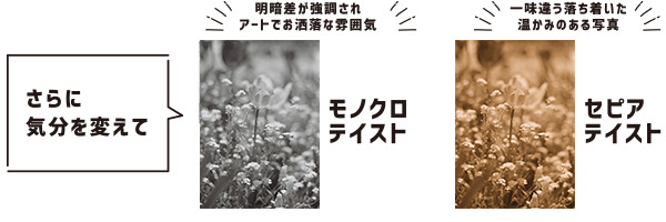 「モノクロ」「セピア」テイストもお選びいただけます