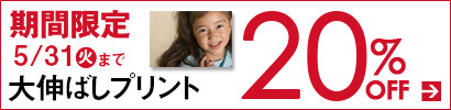 大伸ばし20%OFFキャンペーン