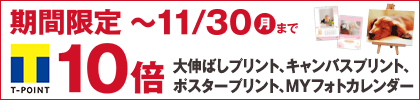 大伸ばしプリント、キャンバスプリント、ポスタープリント、MYフォトカレンダーが期間限定でTポイント10倍！