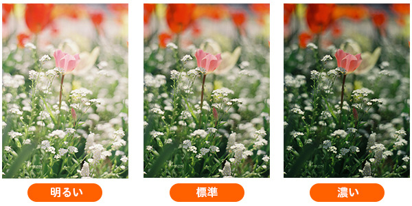 明るさは、「明るい」「標準」「濃い」の3種類