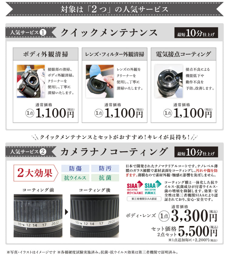 コスモスの写真