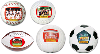 ボールスター　種類