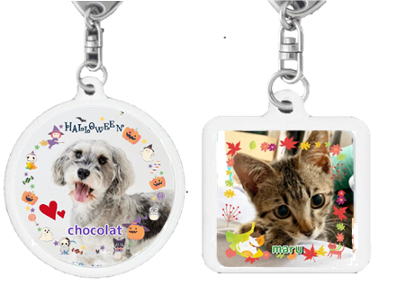 写真キーホルダー秋サンプル①