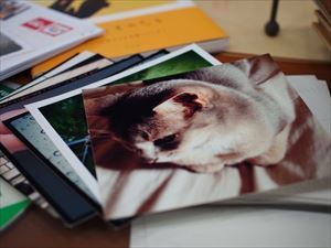 ましかくプリント