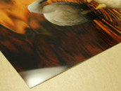 クリスタルプリント