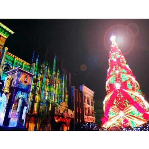 クリスマスツリーシャイン