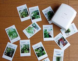 夏休み自由研究